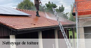 Nettoyage de toiture
