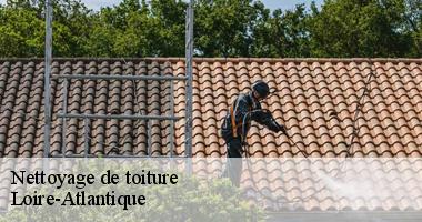 Nettoyage de toiture Loire-Atlantique