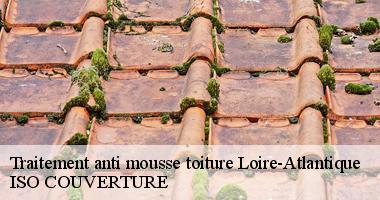 Traitement anti mousse toiture 44 Loire-Atlantique Artisan Couverture 44