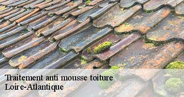 Traitement anti mousse toiture Loire-Atlantique