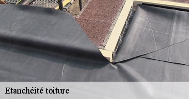 Etanchéité toiture