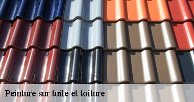 Peinture sur tuile et toiture