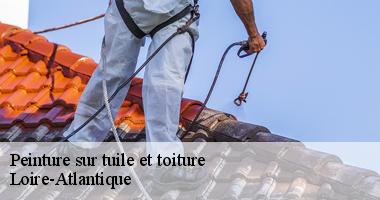 Peinture sur tuile et toiture Loire-Atlantique
