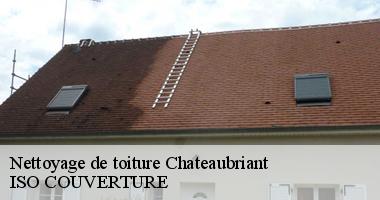 Nettoyage de toiture chateaubriant-44110 Artisan Couverture 44