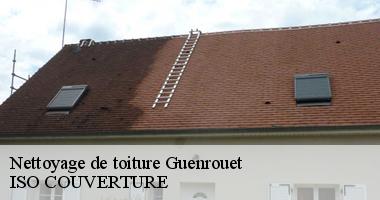 Nettoyage de toiture guenrouet-44530 Artisan Couverture 44