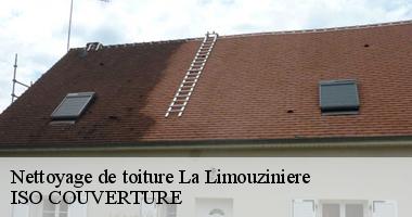 Nettoyage de toiture la-limouziniere-44310 Artisan Couverture 44