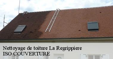 Nettoyage de toiture la-regrippiere-44330 Artisan Couverture 44