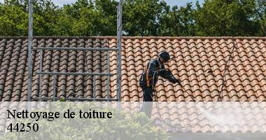 Nettoyage de toiture 44250