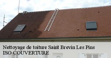 Nettoyage de toiture saint-brevin-les-pins-44250 Artisan Couverture 44