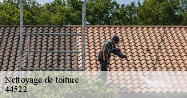 Nettoyage de toiture 44522