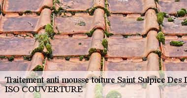 Traitement anti mousse toiture saint-sulpice-des-landes-44540 Artisan Couverture 44