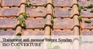 Traitement anti mousse toiture soudan-44110 Artisan Couverture 44