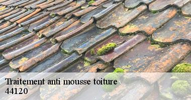 Traitement anti mousse toiture 44120