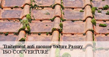 Traitement anti mousse toiture passay-44118 Artisan Couverture 44