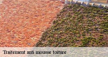 Traitement anti mousse toiture