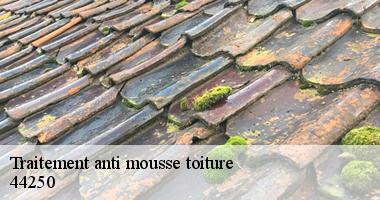 Traitement anti mousse toiture 44250
