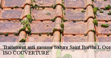 Traitement anti mousse toiture saint-brevin-l-ocean-44250 Artisan Couverture 44
