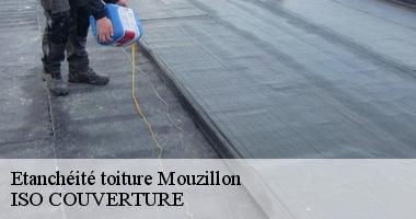 Etanchéité toiture mouzillon-44330 Artisan Couverture 44