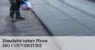 Etanchéité toiture plesse-44630 Artisan Couverture 44