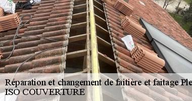 Réparation et changement de faitière et faitage plesse-44630 Artisan Couverture 44
