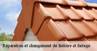 Réparation et changement de faitière et faitage
