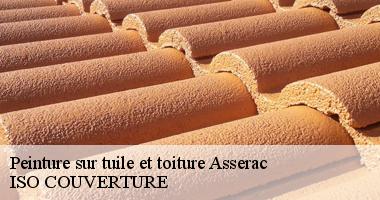 Peinture sur tuile et toiture asserac-44410 Artisan Couverture 44
