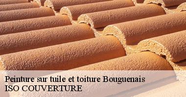 Peinture sur tuile et toiture bouguenais-44340 Artisan Couverture 44