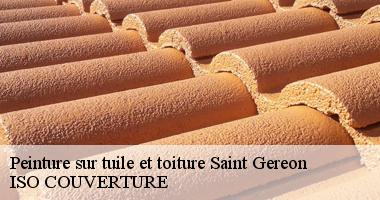 Peinture sur tuile et toiture saint-gereon-44150 Artisan Couverture 44