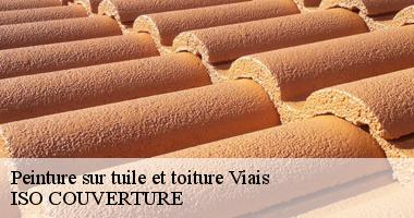 Peinture sur tuile et toiture viais-44860 Artisan Couverture 44